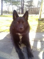 08052011075.jpg