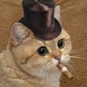 kabojnk