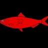 Redherring32