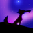 SpaceCoyote